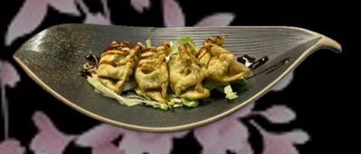Vega Gyoza